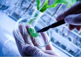 Biotechnology Policy 2024